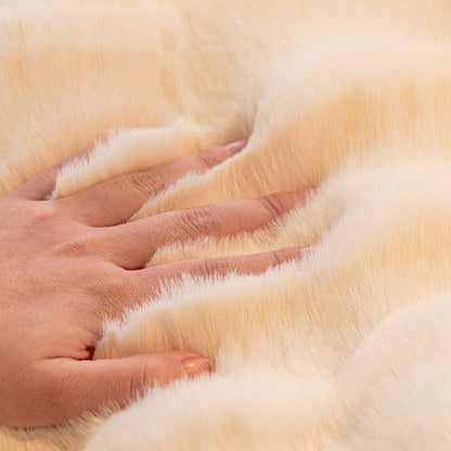 Einfaches, geschlossenes, zusammengebautes Haustierbett