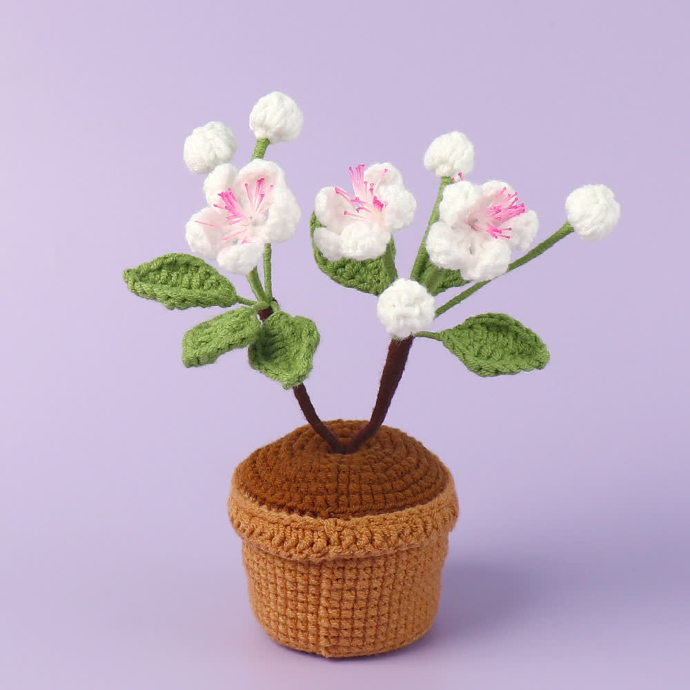 Gehäkelte Pflaumenblüte als Topf-Desktop-Ornament