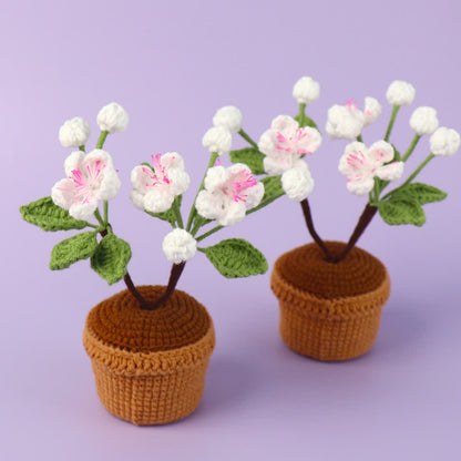 Gehäkelte Pflaumenblüte als Topf-Desktop-Ornament