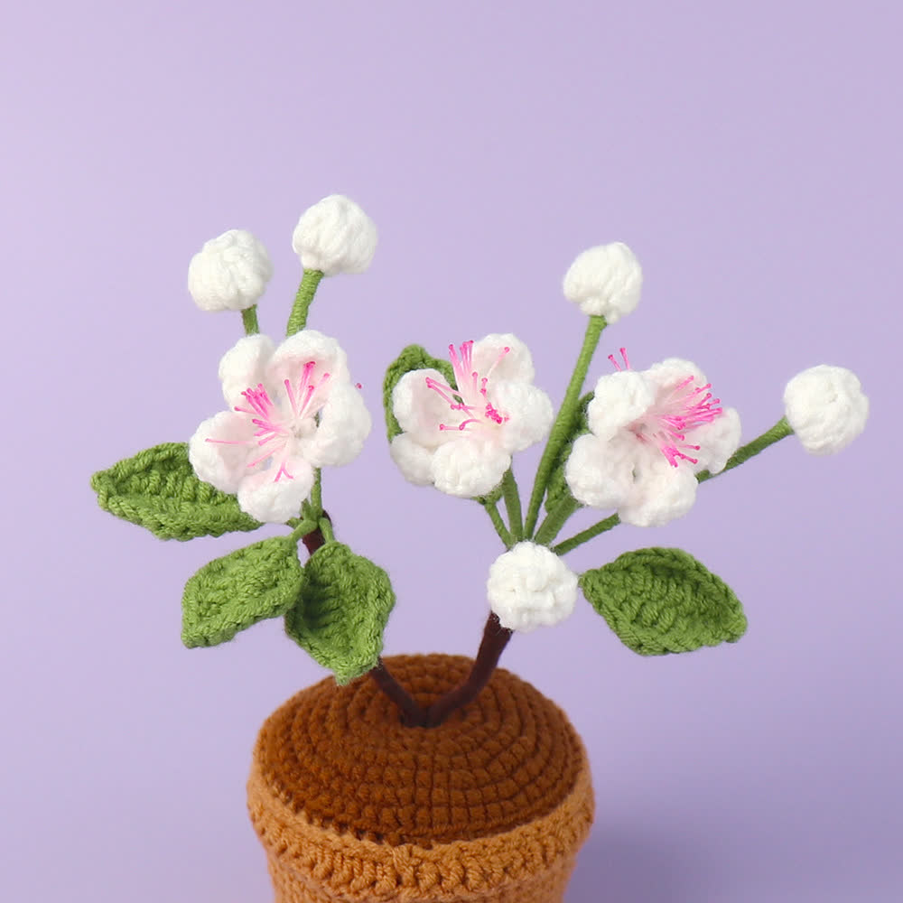 Gehäkelte Pflaumenblüte als Topf-Desktop-Ornament