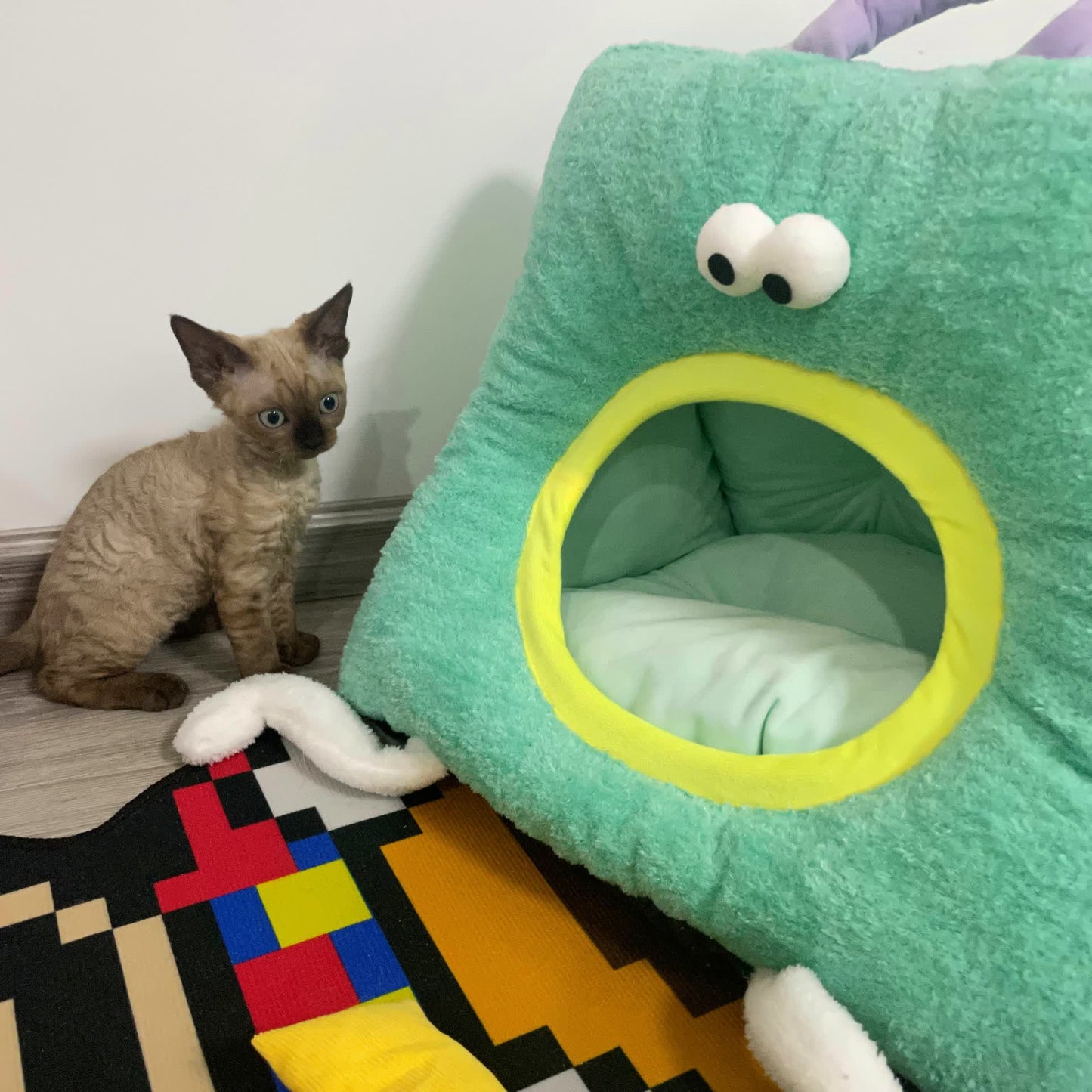 Abnehmbares, waschbares, halbgeschlossenes Katzenbett