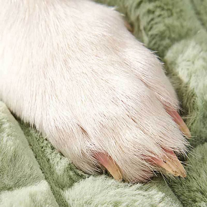 Plüsch-Abnehmbares, waschbares orthopädisches Haustier-Pad