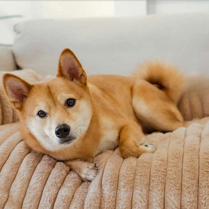 Flauschige Sofaschutzunterlage für Haustiere in Volltonfarbe