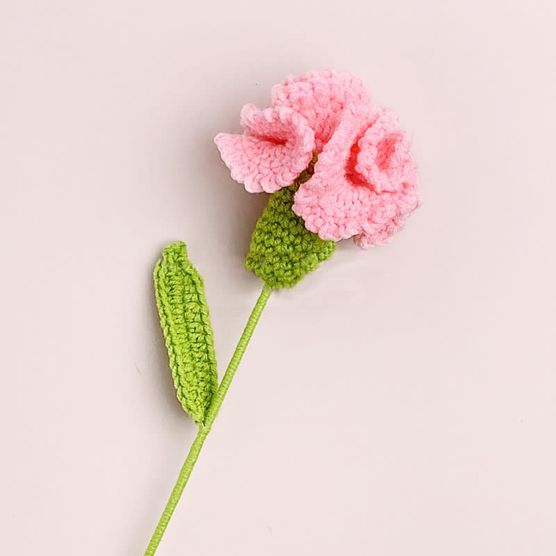 Kreative handgemachte gestrickte Häkelnelke