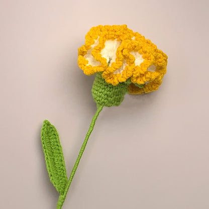 Kreative handgemachte gestrickte Häkelnelke
