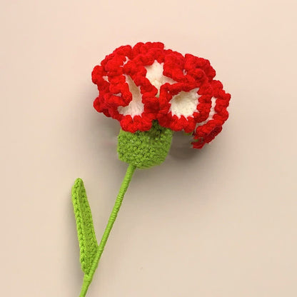 Kreative handgemachte gestrickte Häkelnelke
