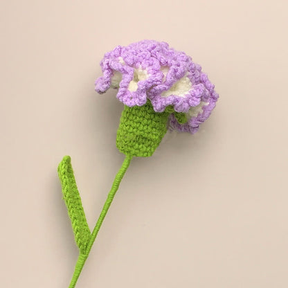 Kreative handgemachte gestrickte Häkelnelke