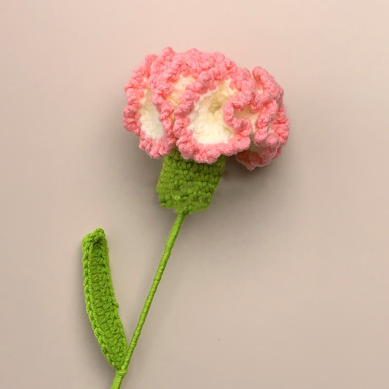Kreative handgemachte gestrickte Häkelnelke