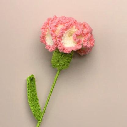 Kreative handgemachte gestrickte Häkelnelke