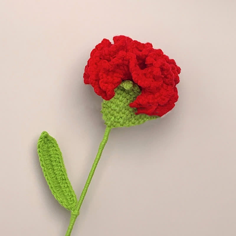 Kreative handgemachte gestrickte Häkelnelke