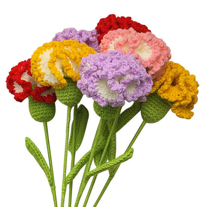 Kreative handgemachte gestrickte Häkelnelke